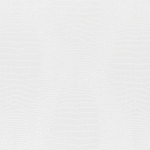 Alligator (Wide)