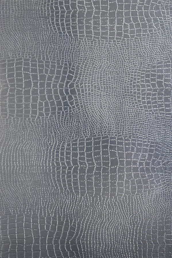 Alligator
