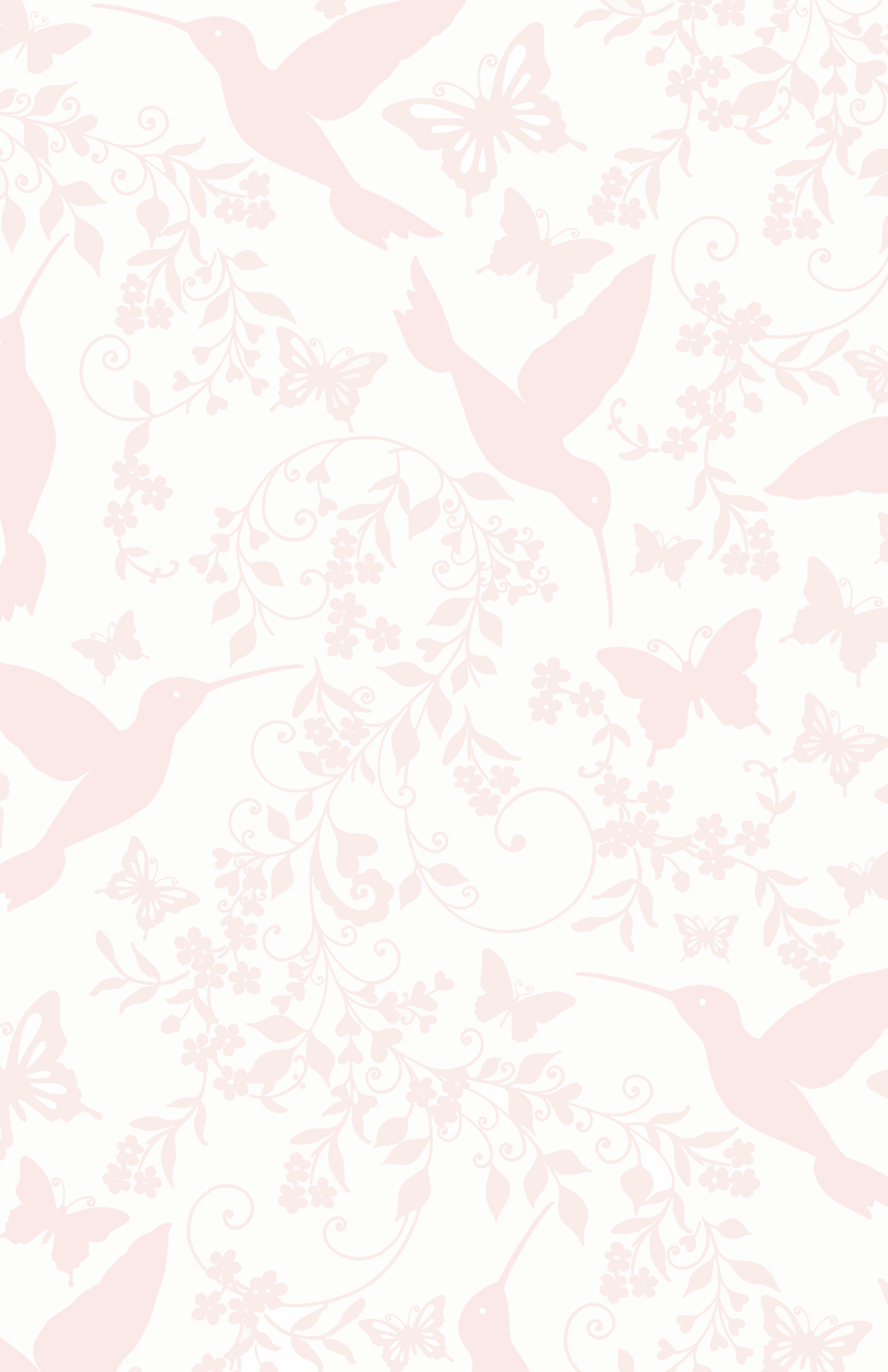 Hummingbirds and Butterflies
