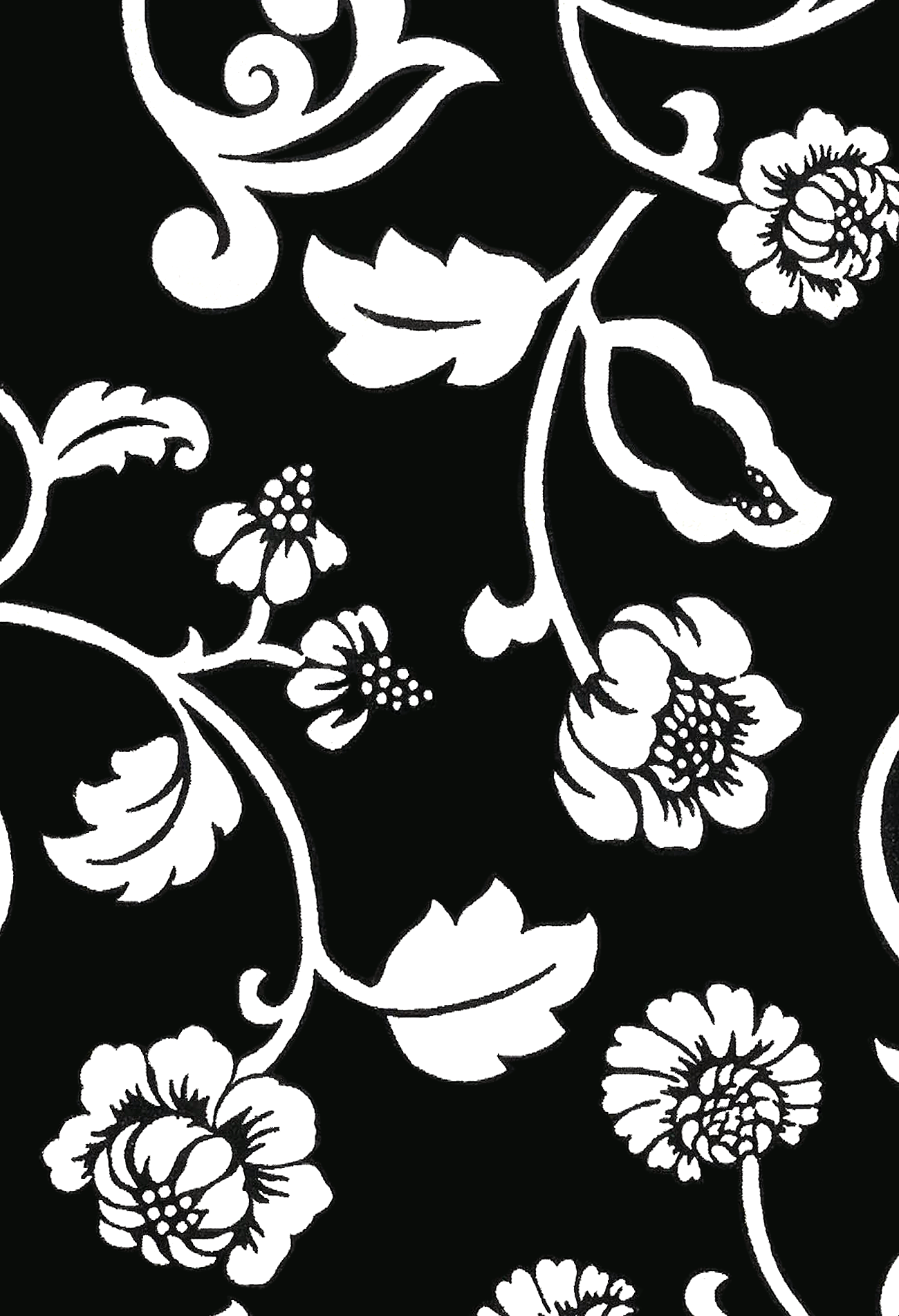 Black/White Julia